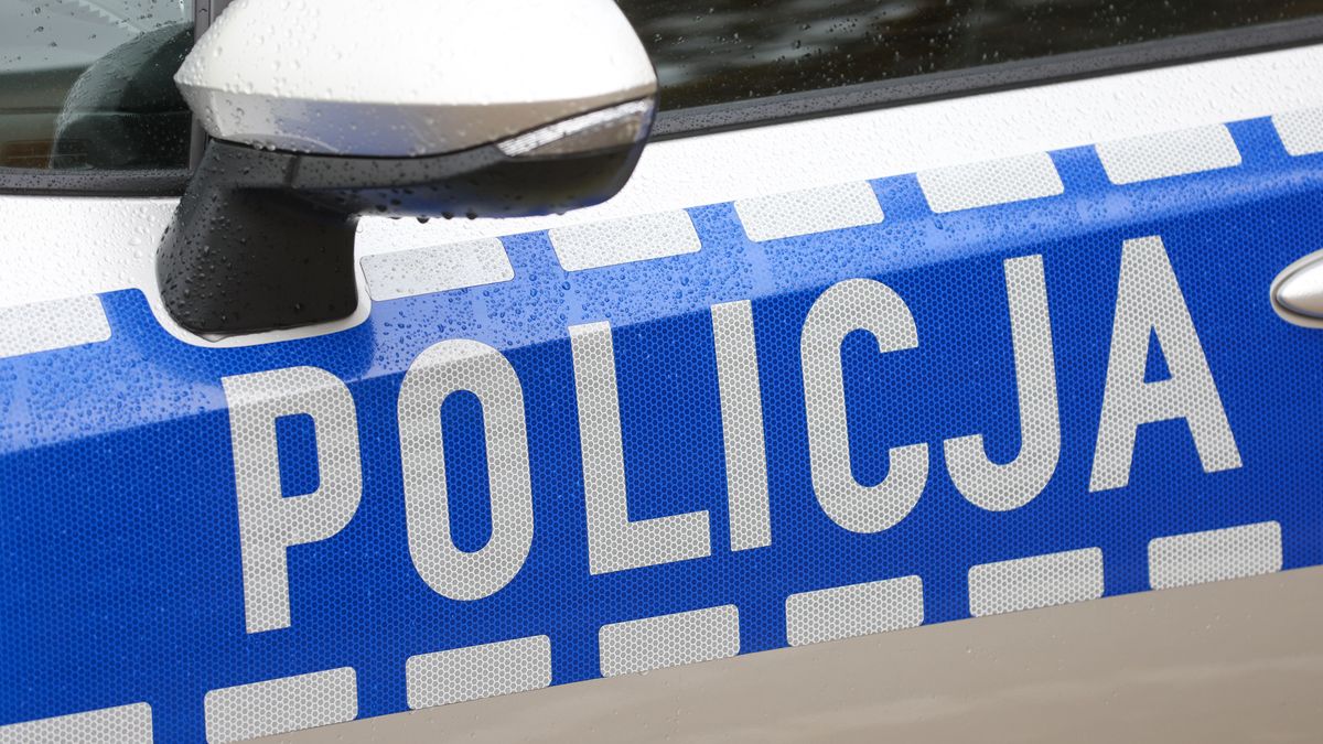 patrol policji
Leszek Szyma�ski
1listopada, akcja, bezpiecze�stwo, bezpiecze�stwo na drodze, funkcjonariusz, funkcjonariusze, KGP, Komendy G��wnej Policji, konferencja, Konferencja prasowa, na drodze, policja, policjanci, policjant, policji, prasowa, radiow�z, ruch, w�z policyjny, wzmo�ony, znicz