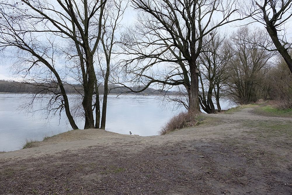 Fujifilm X-A2 - bezluzusterkowiec z matrycą APS-C w przyzwoitej cenie [test] 45