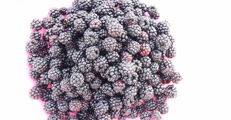 Mrożone jeżyny z dodatkiem cukru