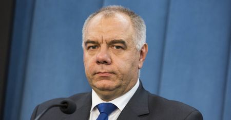 PiS poprawi ustawę o wycince drzew. Padła data kiedy