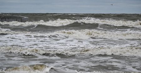 Alarmują o groźnych chemikaliach nad Bałtykiem. Wystosowano apele