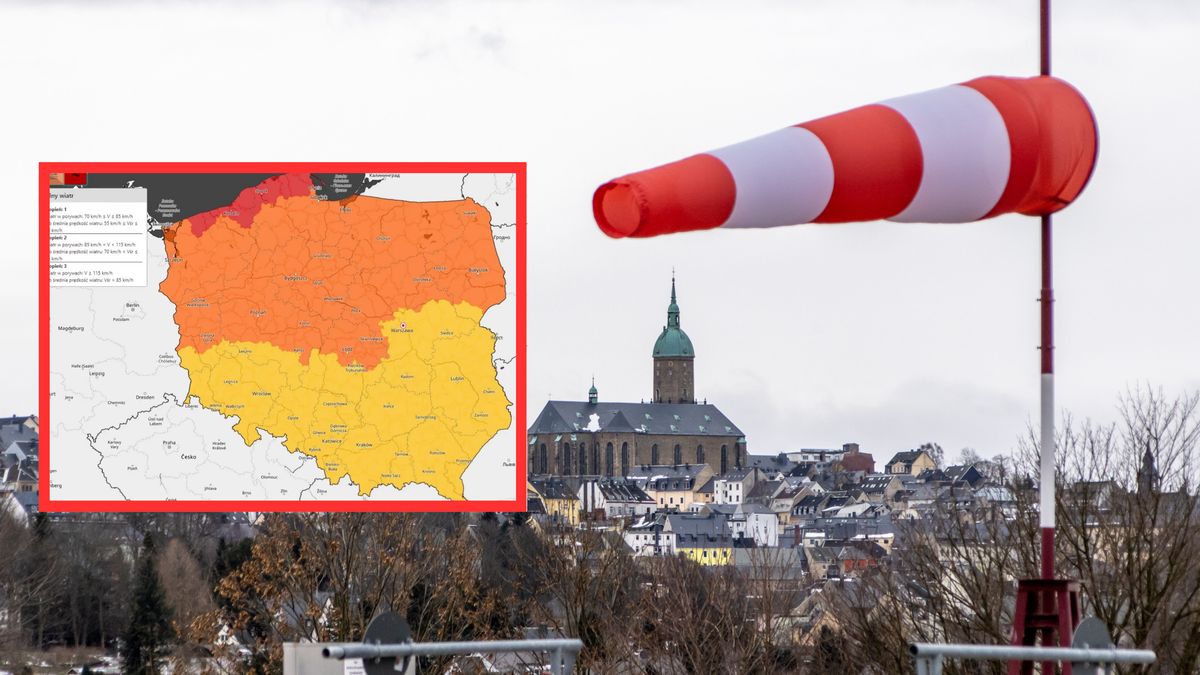 Zdjęcie poglądowe