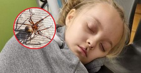 Lekarze nie potrafili znaleźć przyczyny. Matka przypomniała sobie o pająku