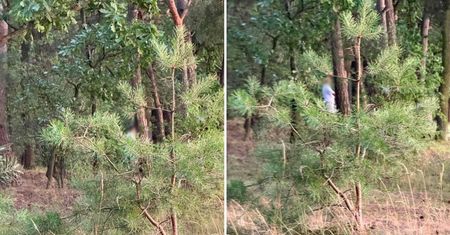 Dziwnie zachowujący się rowerzysta nad Zalewem Zemborzyckim. „Stanął za drzewem i wkładał rękę do spodni”
