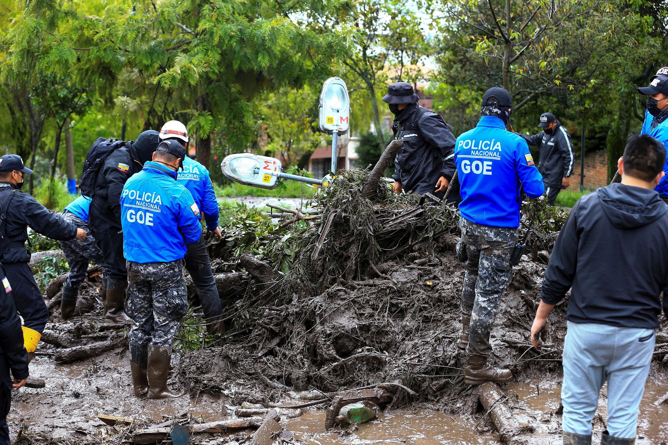 epa09721283 Police personnel try to remove a fallen tree due to the mudslide that occurred on 31 January, which affected some neighborhoods in the west of the Ecuadorian capital and caused at least 18 fatalities, as reported by the authorities in Quito, Ecuador, 01 February 2022. The number of people who died on 31 January rose to 18 after a flood that affected several neighborhoods in the west of the Ecuadorian capital, a city that was hit by a heavy downpour, with record rainfall, according to authorities.  EPA/Jose Jacome 
Dostawca: PAP/EPA.