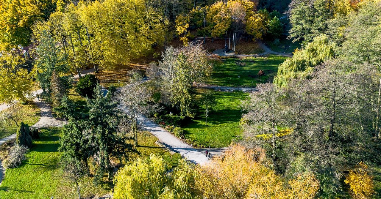 Park Oruński: Ważne zmiany w dolinie. Weź udział i zgłoś swoje uwagi