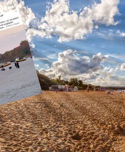 Zaskakujący widok na plaży. "Ja się ich boję"