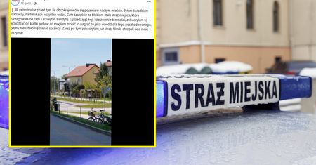 Straż miejska złapała złodzieja i wylała się  fala hejtu. "A to nasz człowiek był"