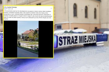 Straż miejska złapała złodzieja i wylała się  fala hejtu. "A to nasz człowiek był"