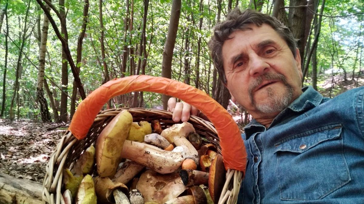 Justyn Kołek zebrał pełen kosz borowików.