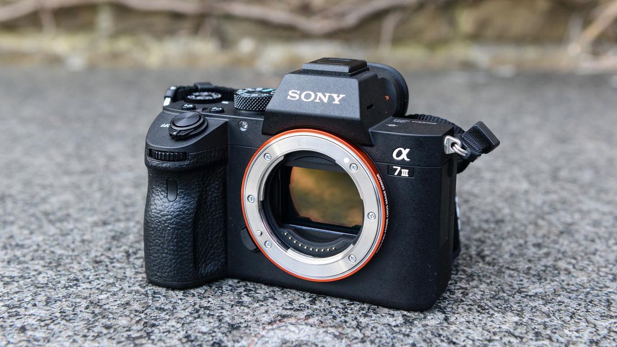 100-megapikselowa pełoklatkowa matryca Sony już niedługo w aparatach konsumenckich 1