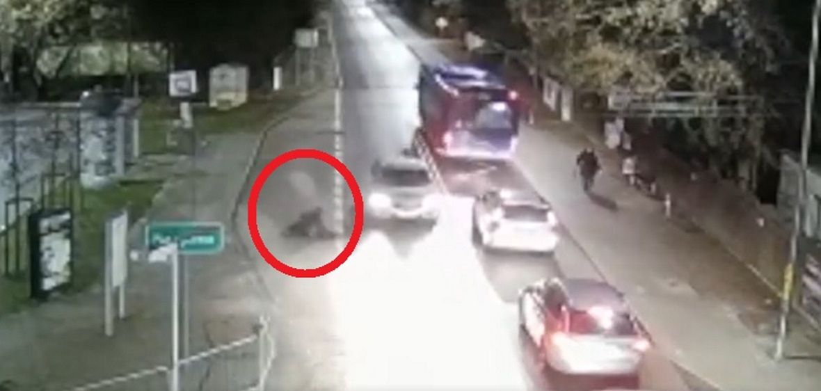 Dziecko wybiegło zza autobusu i wpadło pod samochód