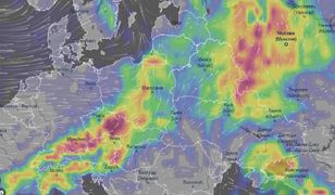Pogoda. Ostrzeżenia przed silnym wiatrem i burzami z gradem. RCB wydało alert