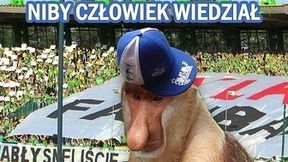 Memy po niedzielnych spotkaniach PGE Ekstraligi