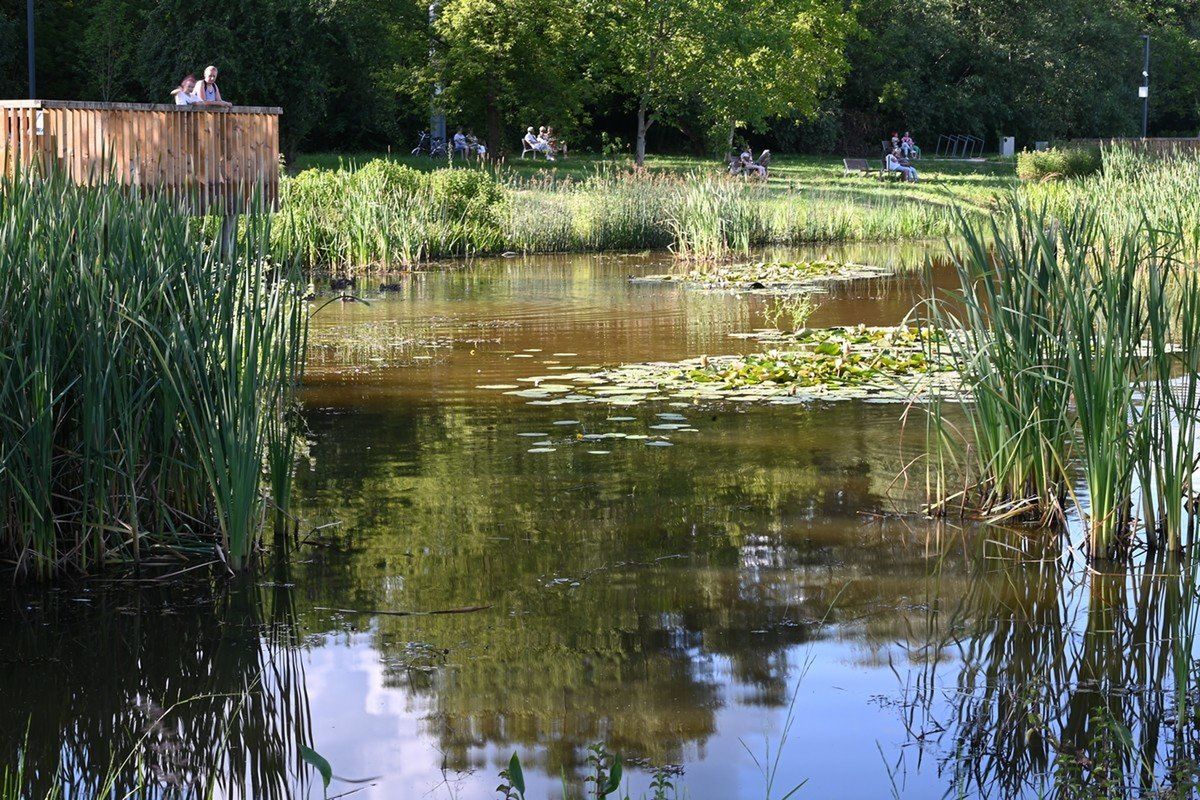 Park Zimnej Wody zachwyca od trzech lat