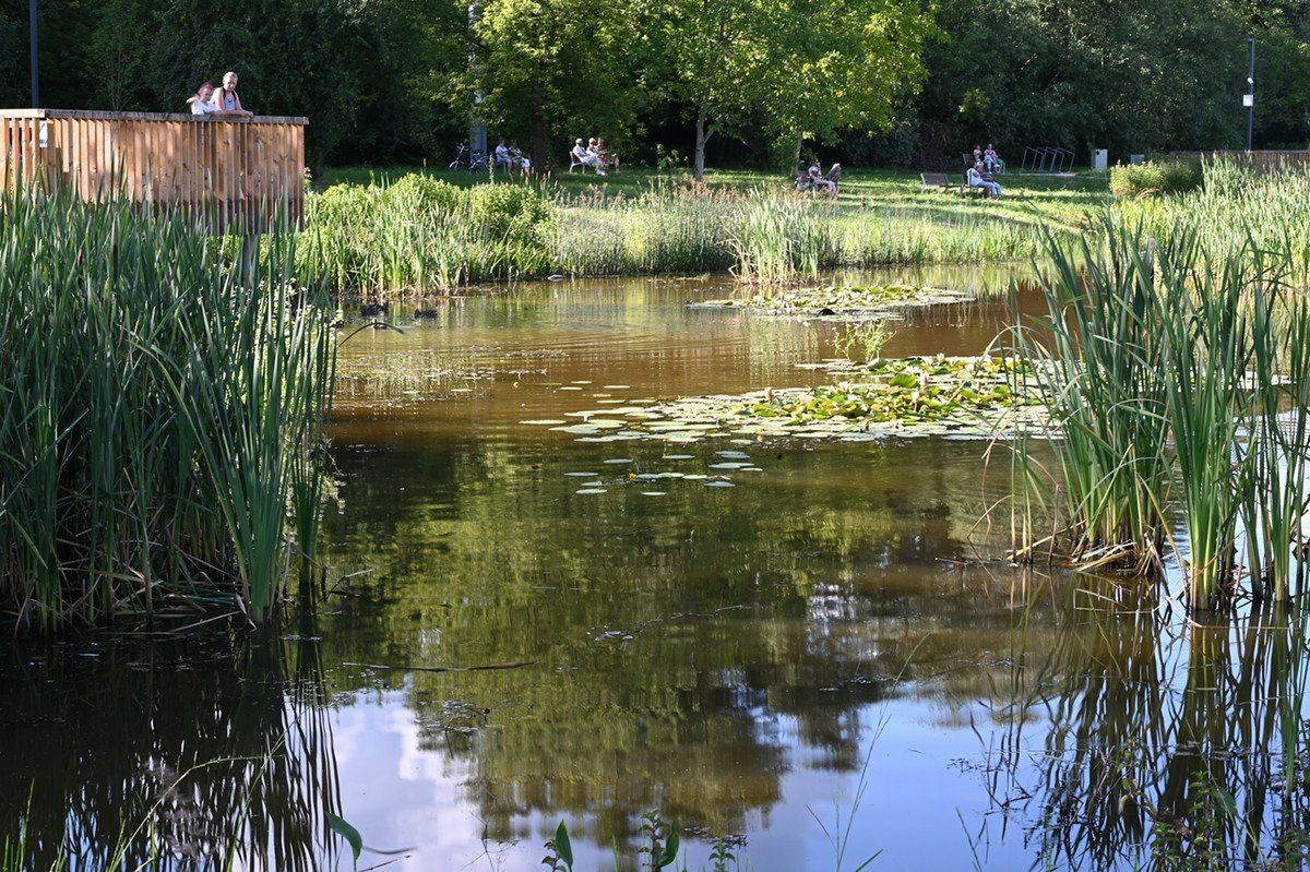 Od trzech lat w Stalowej Woli jest niezwykłe miejsce – Park Zimnej Wody