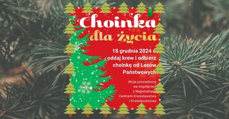 Oddaj krew - dostaniesz choinkę!