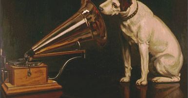 Voice Fantasy - z czym to zjeść?