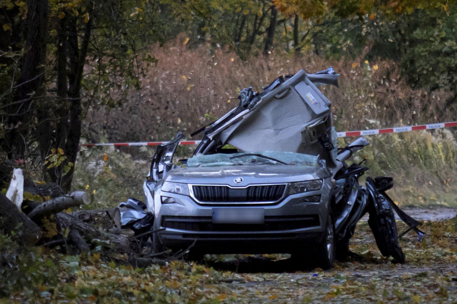 Jechali na spacer z psem. Zabiła ich potężna wichura