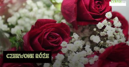 Dziś walentynki! Oto 10 najbardziej romantycznych kwiatów.