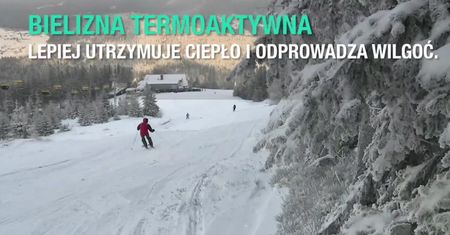Ferie na stoku. Jak przygotować się do jazdy na nartach?