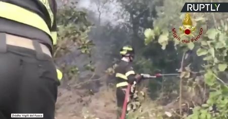 Pożary lasów na Sardynii. Pomoc strażaków z Francji i Grecji.