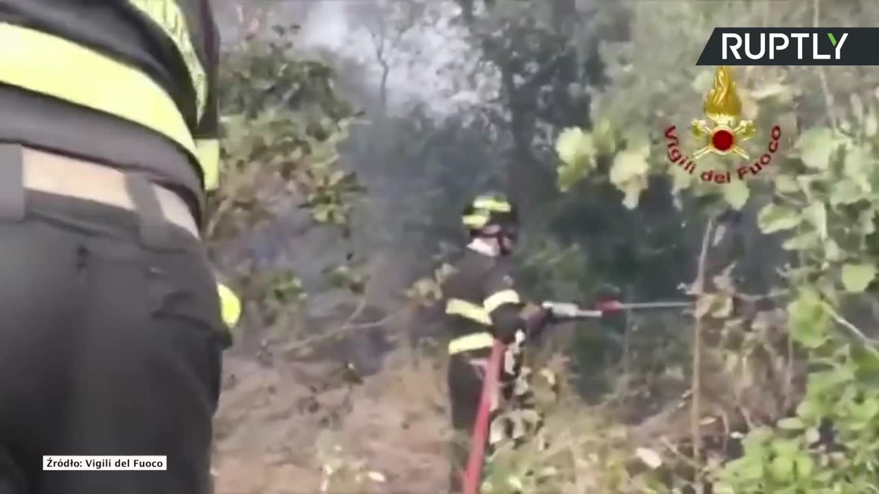 Pożary lasów na Sardynii. Pomoc strażaków z Francji i Grecji.