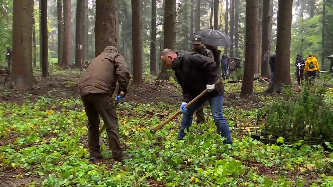 Prezydent wziął udział akcji sadzenia drzew #sadziMY w Małopolsce