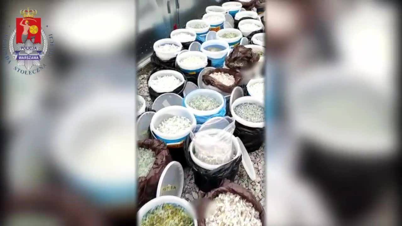 Policja przejęła wiadra ze sterydami w Warszawie. Wartość substancji to ponad milion złotych.