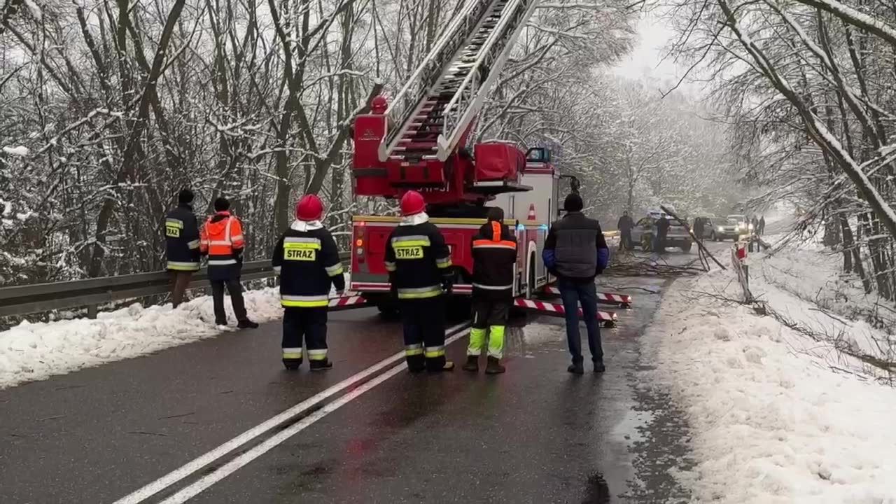 Interwencje strażaków po opadach śniegu w okolicy Białej Podlaskiej