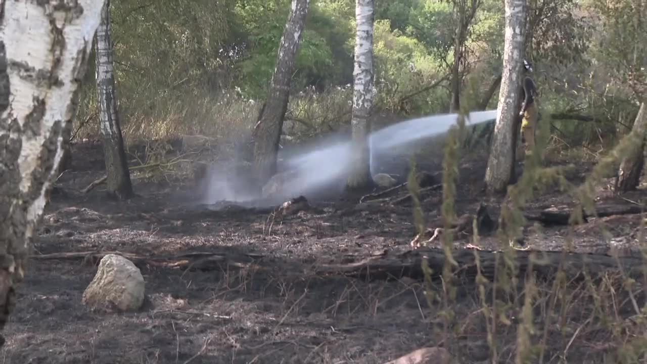 Spaliło się prawie 90 hektarów pól i łąk. Wodę zrzucały samoloty gaśnicze Dromader