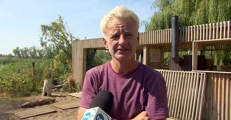 “Nikt nie przyjedzie nad Odrę”. Trudna sytuacja przedsiębiorców w obliczu katastrofy ekologicznej