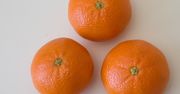 Mandarynki Orri – owocowa hybryda