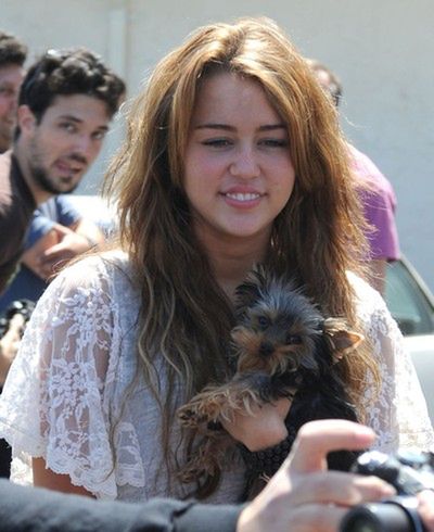 Miley Cyrus będzie zawsze grzeczna