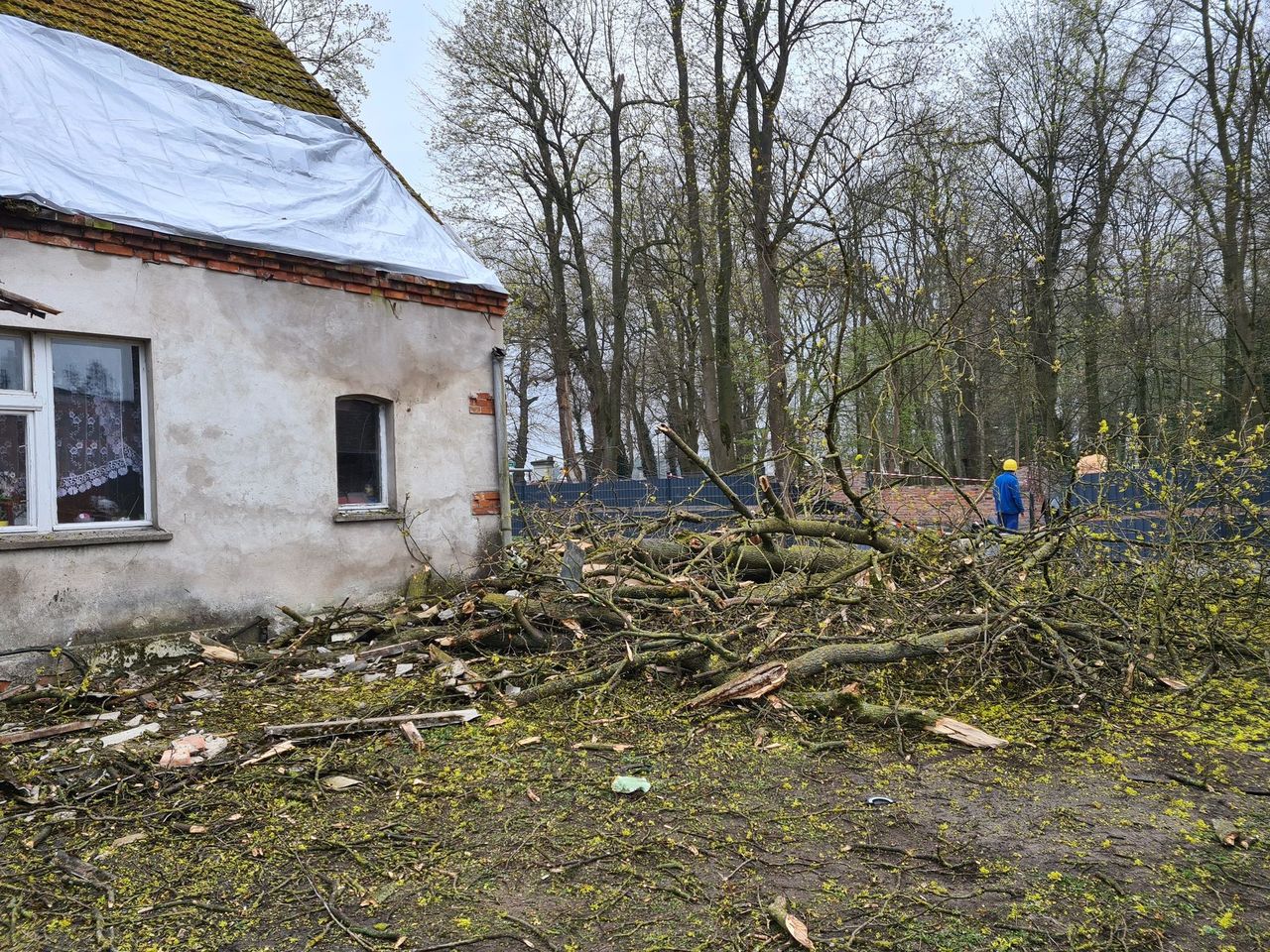 Drzewo przewróciło się na budynek