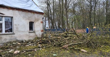 Drzewo przewróciło się na budynek
