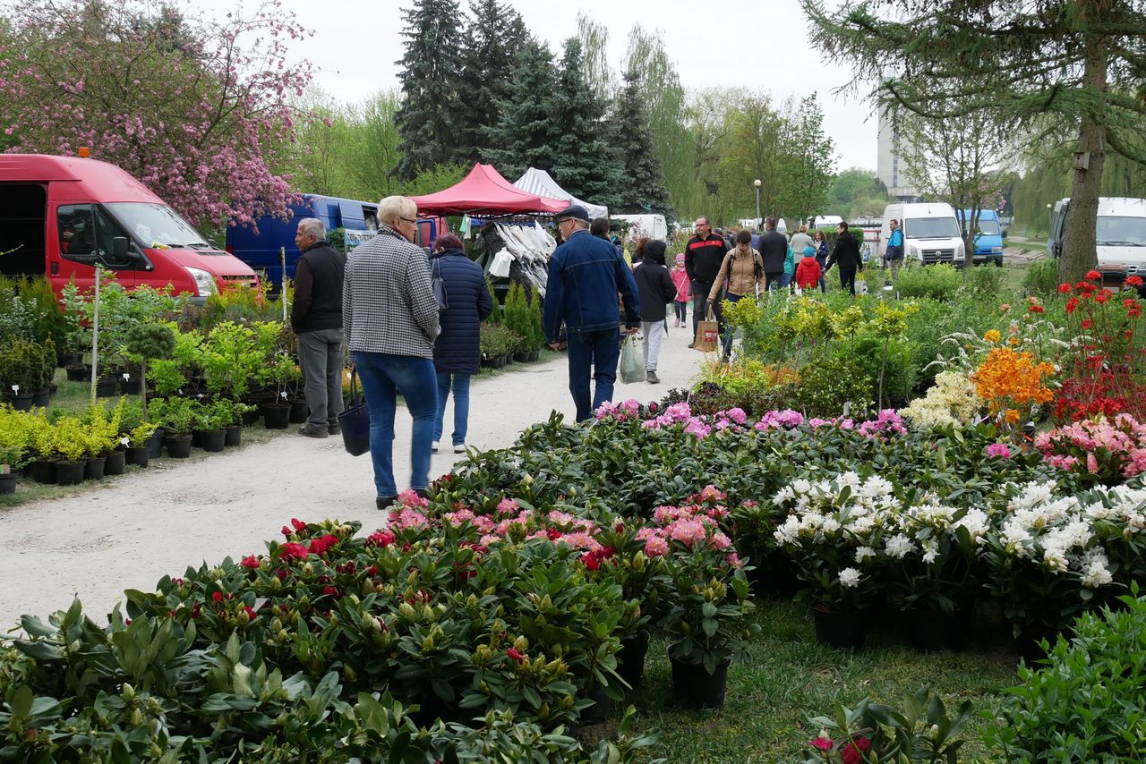 Agro Targi i Wystawa Miasto i Ogród