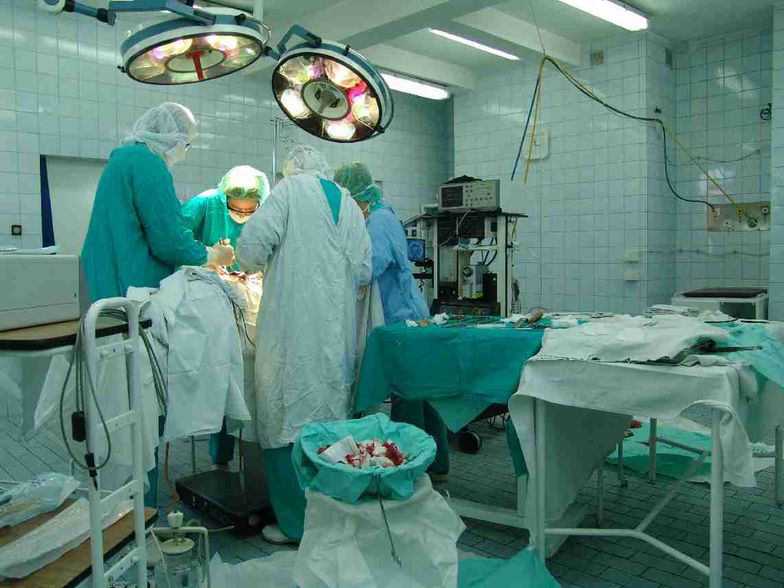 Dzień Transplantologii. W Polsce przeszczepiono rekordową liczbę narządów