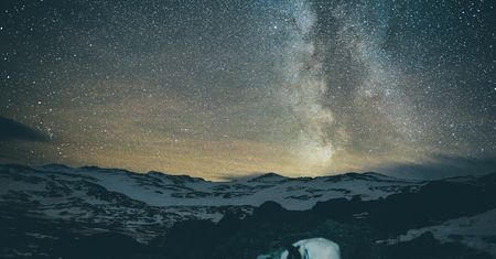 Fotograf rzucił pracę, by podróżować ze swoim psem - poznaj przygody Henrika Vikse i Akiaka