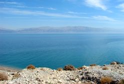 Morze Martwe obudzi się do życia?!