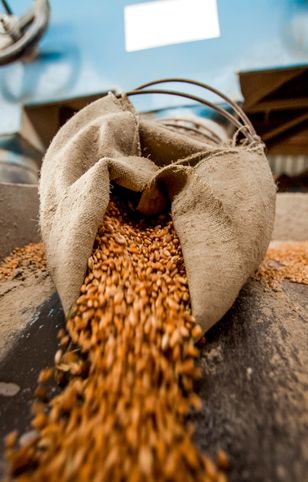 Dopłaty do sprzedaży zbóż. Rząd da rolnikom 600 mln złotych
