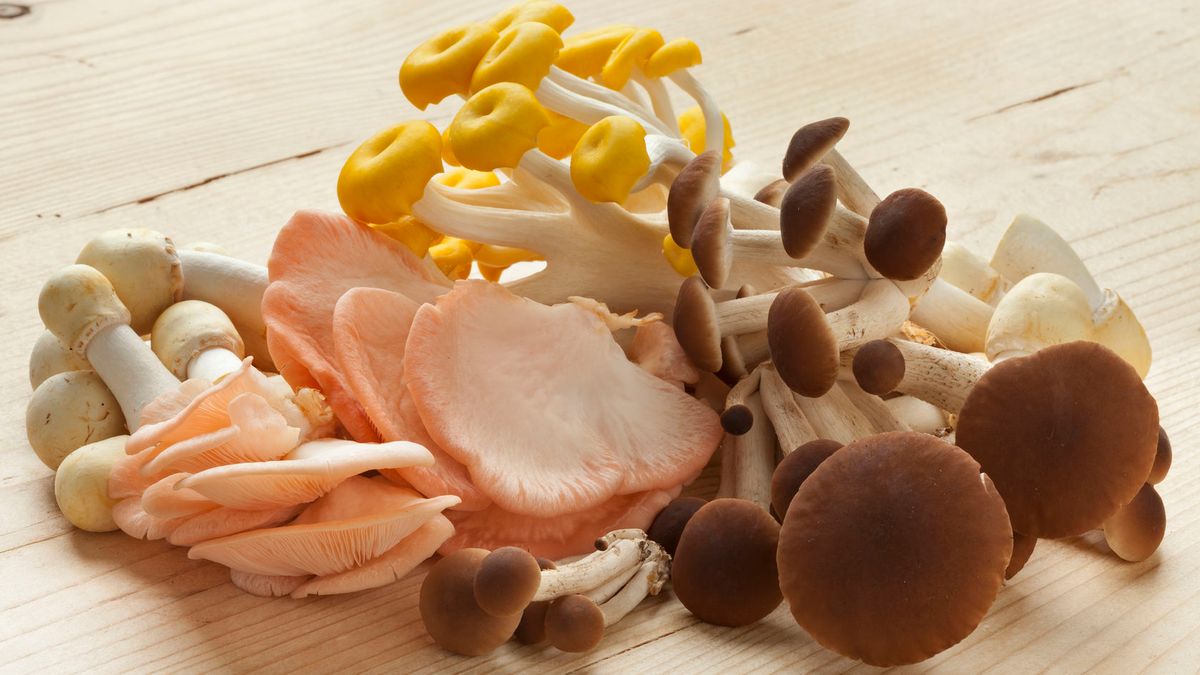 Przez wiele lat wpajano nam, że grzyby nie mają żadnych wartości odżywczych. Prawda jest inna (123rf)