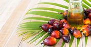 Olej palmowy - produkcja, właściwości, kalorie i wartości odżywcze