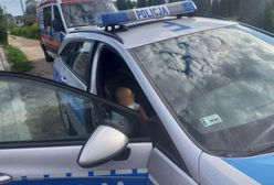 Bosy 2-latek z psem. Ważny apel policji