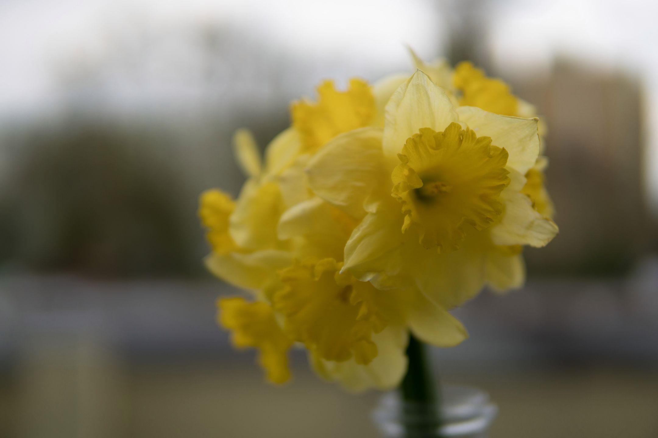 Sigma 30 mm f/1.4 DC DN - recenzja jasnego obiektywu stworzonego z myślą o bezlusterkowcach 10