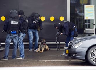 Alarm bombowy na lotnisku Schiphol