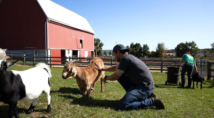 Farma pełna miłości