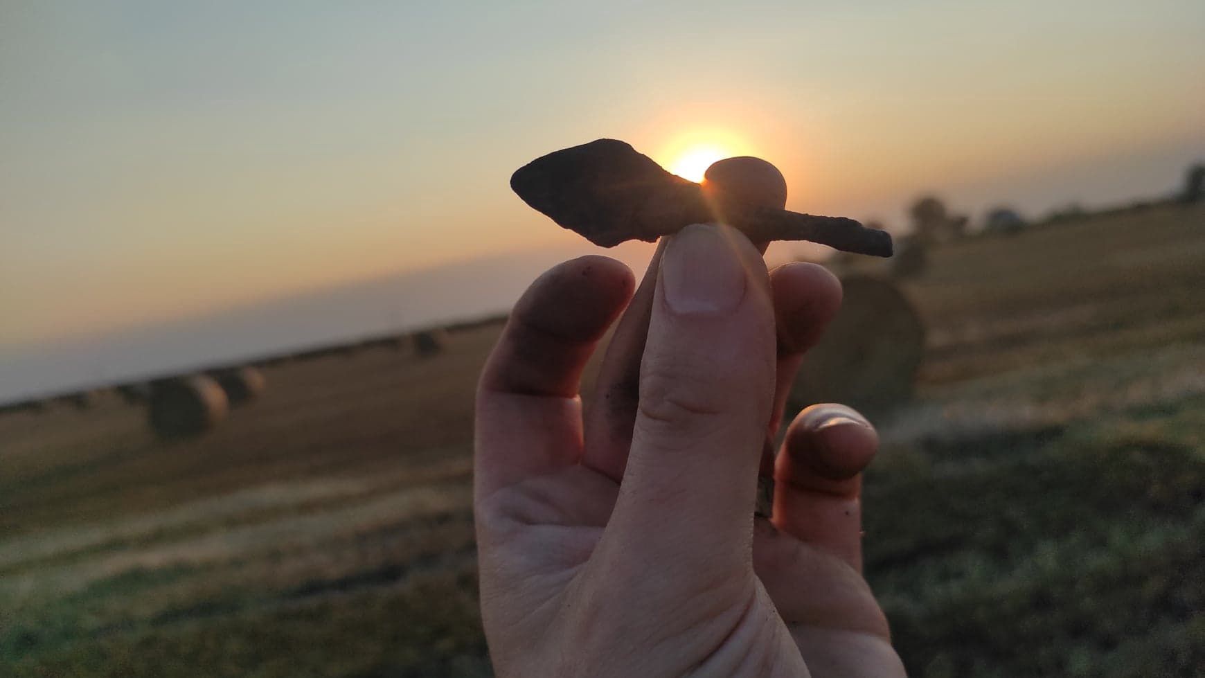 Poszukiwania archeologiczne pod Płowcami