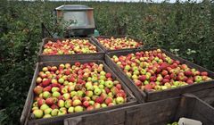 Polscy producenci żywności mają silną pozycją na zagranicznych rynkach