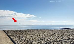 „Latające statki”. Spotkasz je spacerując po polskich plażach